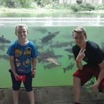 David Dyess - @dyess - Instagram