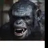 David Dymond - @dymnd8 - TikTok