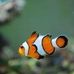 David Eberlein - Facebook