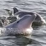 David Eggert - @david.eggert.98 - Instagram