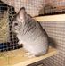 David Eggleton - Facebook