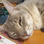 David Eggleton - @david.eggleton.12 - Instagram