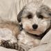 David Eichler - Facebook