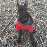 David Eilers - @daveeilers26 - Instagram