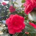 David Eisenmenger - Facebook