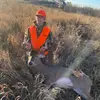 Gavin Eisenmenger✝️🤼🦆 - @gavin.eisenmenger - TikTok