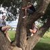 Dave Ekstrom - Facebook