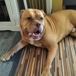 David Eldridge - @d.j.eldridge - Instagram