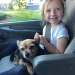 David Eldridge - @eldridge.d - Instagram