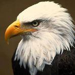 David Elsey - Facebook