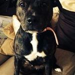 David Elwell - @elwell8522 - Instagram