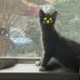 Dave Embry - Facebook