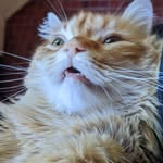 David Embry - @davidembry - Instagram
