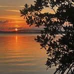 David Emig - Facebook