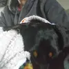 David Emmerson gen X - @david.emmerson3 - TikTok