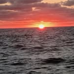 David Endersby - @david_endersby - Instagram