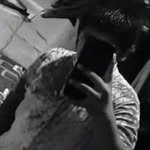 David Endo - @endo5054 - Instagram