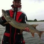 David Engblom - @33mega - Instagram