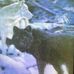David Engelmann - Facebook