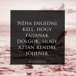 Dávid Erdősi Dávid - @daviderdosidavid - Instagram