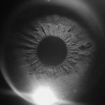 David Ernest - @david.ernest1 - Instagram