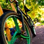 David Eses - Facebook
