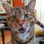 David Esmond - @davidesmond - Instagram