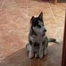 David Espejo - Facebook