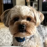 Reginald David Dodge esquire - @hanginwithreggie - Instagram