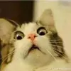 david_esteban - @david_esteban - TikTok
