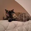 Estelle David - @estelle.david6 - TikTok