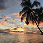 David Ester - @biskut62 - Instagram
