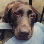 David Esterman - @david.esterman - Instagram