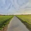 David Eterno - @david.eterno - TikTok