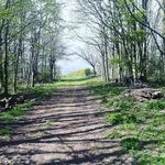 David Etherington - @davidwoldsfarm - Instagram