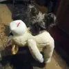 David J. Etzel - @david.j..etzel - TikTok