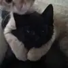 David Euceda - @david.euceda2 - TikTok