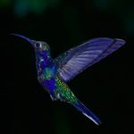 David R. Euceda - @conclased - Instagram