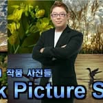 DavidEum ( 엄기주 ) - @davideum75_wpictures - Instagram