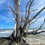 David Evatt - @evattcentral - Instagram
