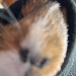 David evensen - @david.evensen_ - Instagram