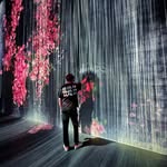Davide Verona - @davideverona - Instagram