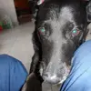 EVERESTDAVID - @everestdavid - TikTok