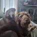 David Eveleth - Facebook
