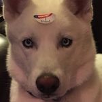 David Eversole - @davideversole911 - Instagram