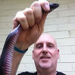 David Every - @ozreptileprotector - Instagram