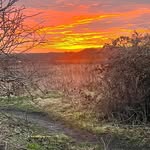 David Eves - @david.eves.777 - Instagram