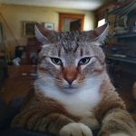 David Eves - @eveskeith63 - Instagram