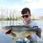 Davide vettor - @davidevettor - Instagram