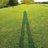 david evetts - @david.evetts - TikTok